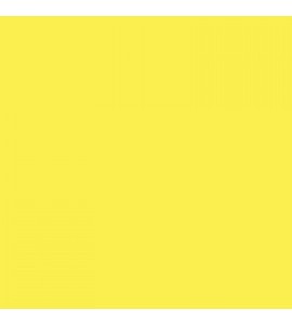 38 Canary Yellow Widetone Seamless Background Paper 2.7x11m