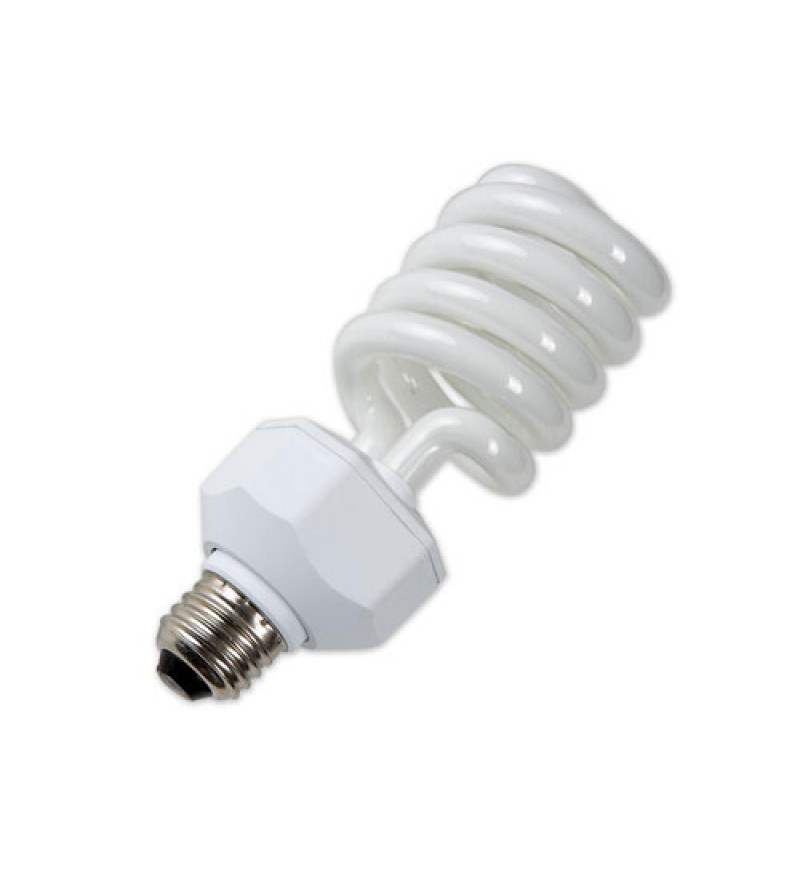 Single 65W cool globe - 325W equiv for Spiderlite