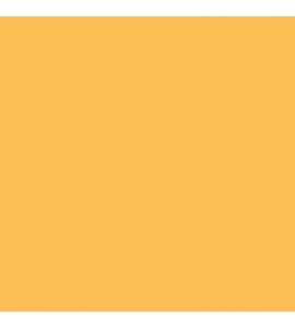 43 Marmalade Orange Widetone Seamless Background Paper 2.7x11m