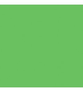 Half width 46 Chromakey Tech Green Background Paper 1.35 x 11m