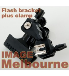 Croc clamp with flash mount spigot