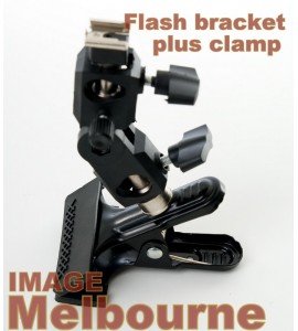 Croc clamp with flash mount spigot