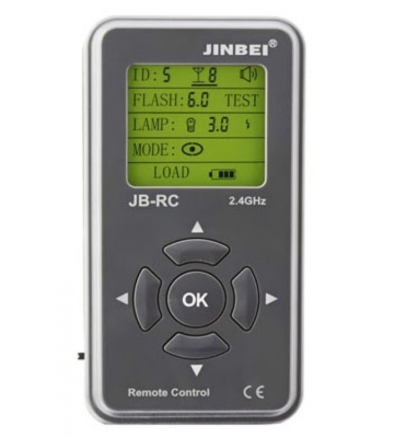 Digital Pioneer flash remote control unit