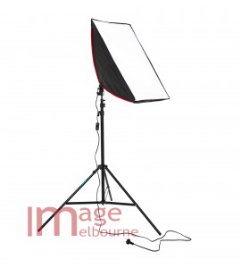 3000W equivalent LED remote control 2 softbox light kit - cool, daylight white and warm 