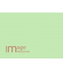 Lumoz 167 Pastel Green backdrop paper 1.35x10m half width background roll