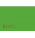 Lumoz 54 Chromakey Tech Green backdrop paper 1.35x10m half width background roll