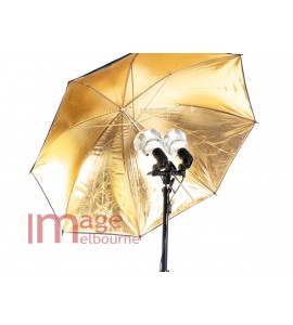 Rainbow 2 head LED Umbrella Kit  3000W-600W equivalent with remote control