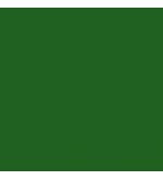 Rosco CalColor #4490 Filter - Green (3 Stop) - 20x24" Gel Sheet