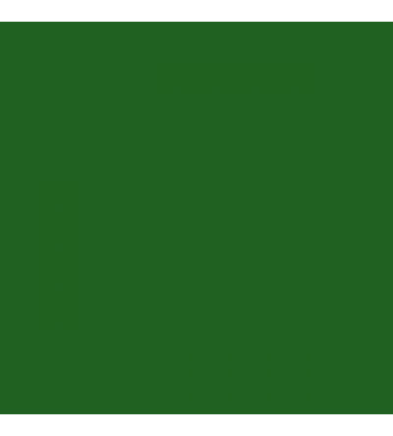 Rosco CalColor #4490 Filter - Green (3 Stop) - 20x24" Gel Sheet