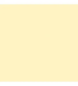 04 Sand Yellow Orange Widetone Seamless Background Paper 2.7x11m