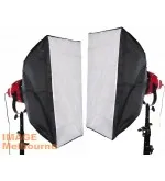1300W equivalent 2 LED Redhead cool light kit