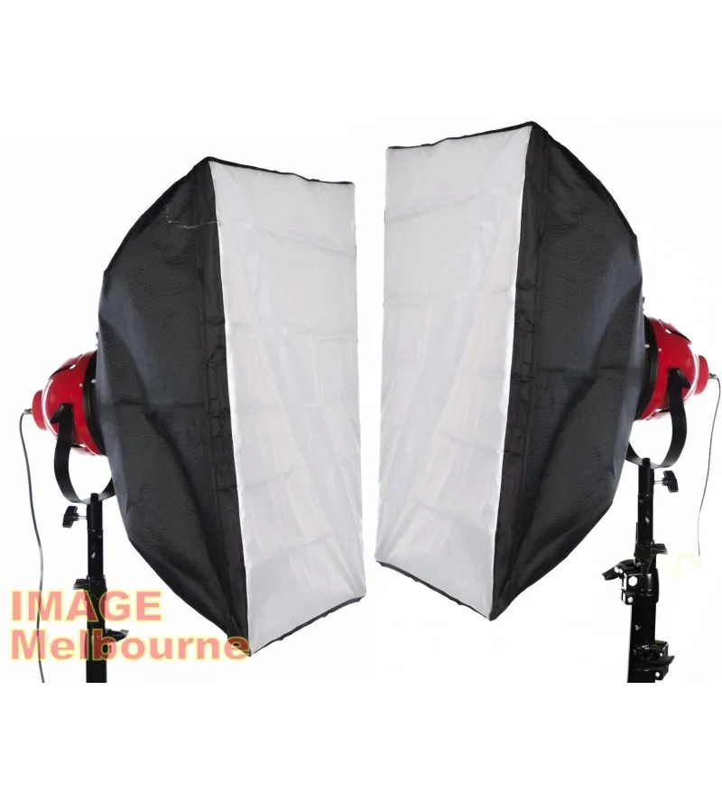 1300W equivalent 2 LED Redhead cool light kit