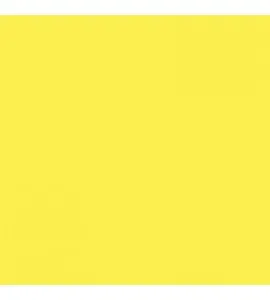 38 Canary Yellow Widetone Seamless Background Paper 2.7x11m