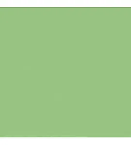Half width 40 Mint Green Seamless Background Paper 1.35 x 11m