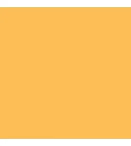 43 Marmalade Orange Widetone Seamless Background Paper 2.7x11m