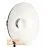 55cm White Beauty Dish honeycomb grid & diffusion panel - Qikbox mount system