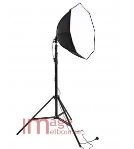 3000W equivalent LED remote control 2 softbox light kit - cool, daylight white and warm 