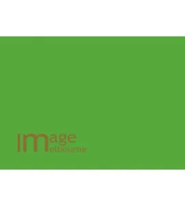 Lumoz 54 Chromakey Tech Green backdrop paper 2.7x10m background roll