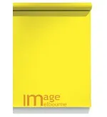 #50 Aspen Yellow Superior Seamless Background Paper Background 1.35 x 11m