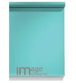 #55 Alpine Teal Superior Seamless Background Paper Background 2.7 x 11m